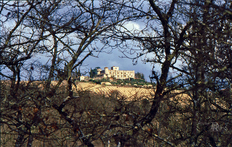 Bild: "Dornenschloss" in der Toskana (Fotografie, 1989)