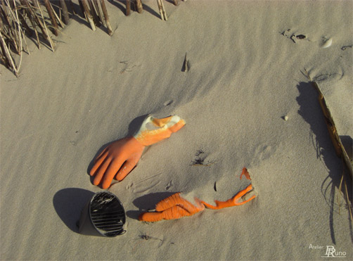 Bild: Strandstillleben (Fotografie, 2008)