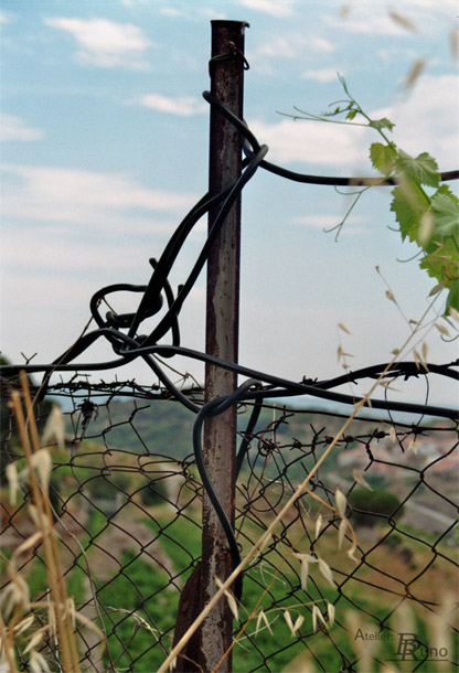 Bild: Zugefallen in den Bergen bei Port Vendre (Fotografie, 2010)