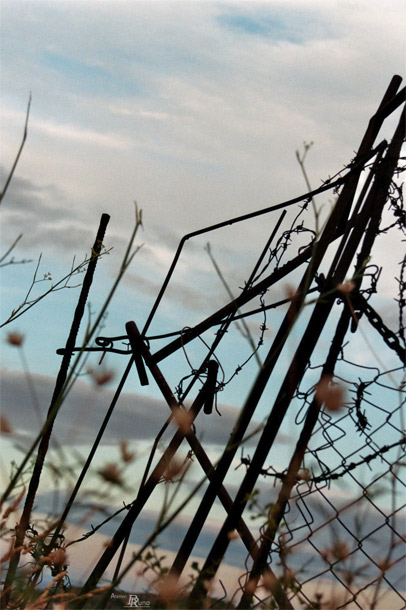 Bild: Zugefallen in den Bergen bei Port Vendre (Fotografie, 2010)