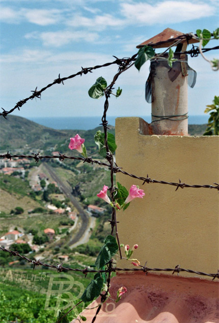 Bild: Zugefallen in den Bergen bei Port Vendre (Fotografie, 2010)