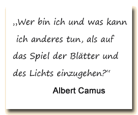 Zitat: Albert Camus: „Wer bin ich und was kann ich anderes tun, als auf das Spiel der Blätter und des Lichts einzugehen?“