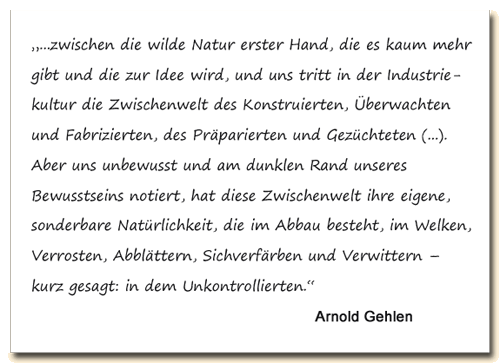 Zitat: Arnold Gehlen sieht, wie sich über den Zerfall das Unkontrollierte in unsere perfekte, technisierte Welt schleicht