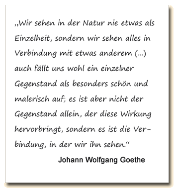 Zitat: J.W. Goethe meint, dass wir alles in Verbindung mit etwas anderem sehen.